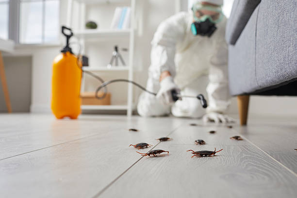 Commercial Kitchen Cockroach Control in Kean University